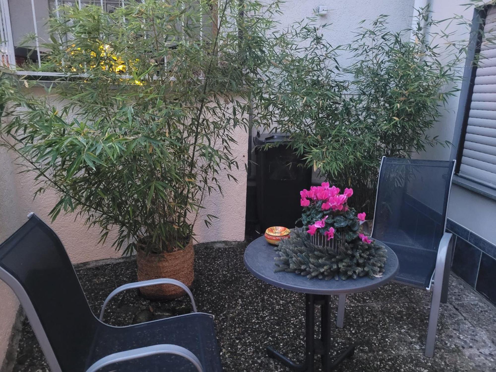 Ferienwohnung Riesling Bobenheim am Berg Exterior foto